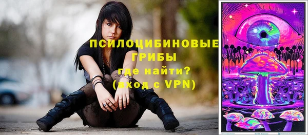 a pvp Михайлов