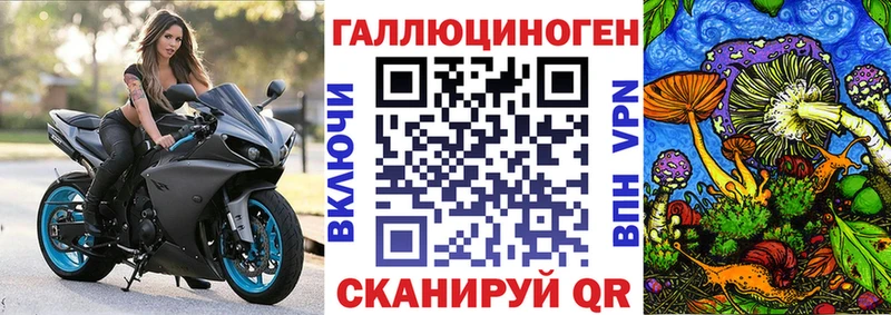 Псилоцибиновые грибы прущие грибы  Сурск 